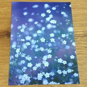 Postkarte Kleine Blümchen (art+nature)