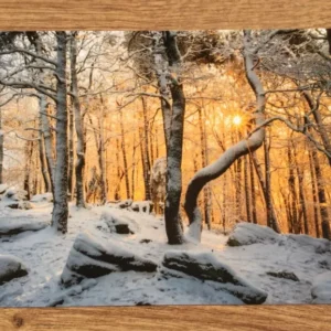 Postkarte Winterleuchten (art+nature)
