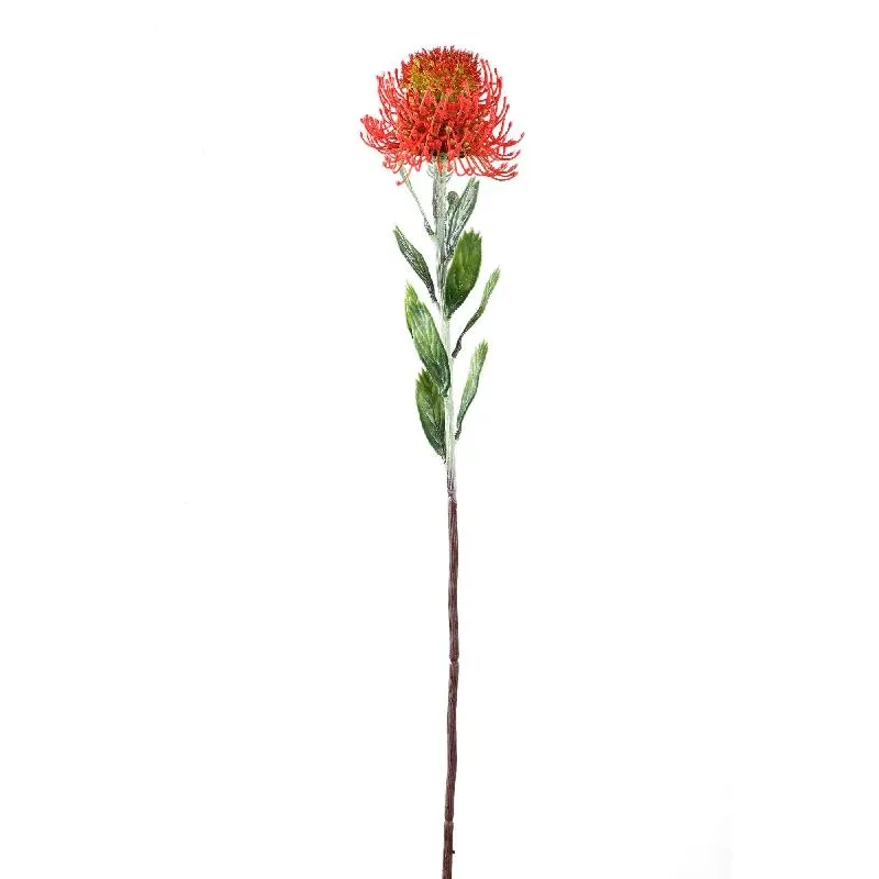 Zweigpflanze – Roter Protea-Zweig mit Blättern aus Polyester | PTMD