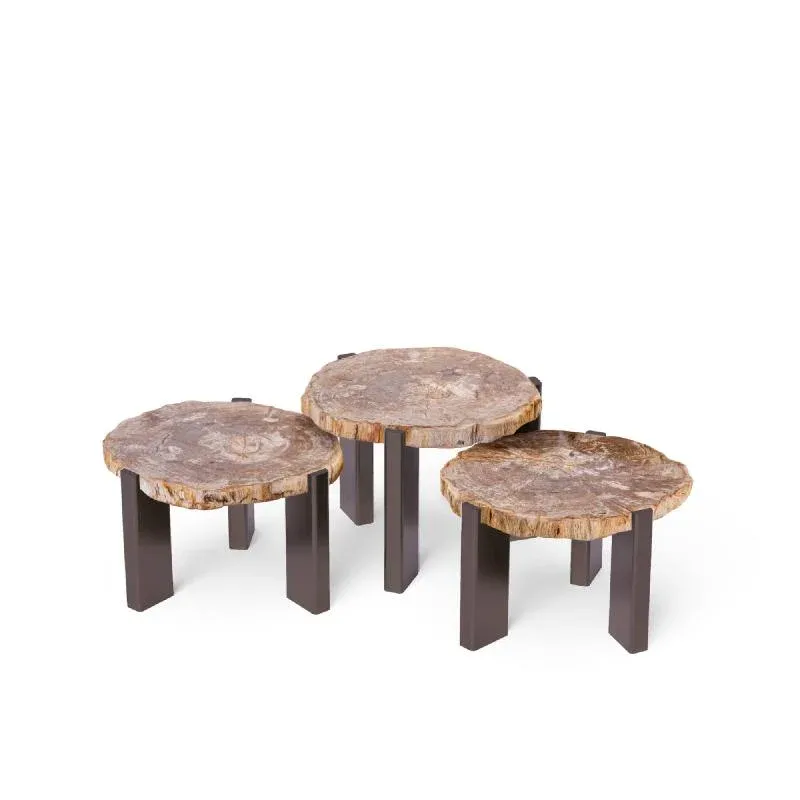 Couchtisch – Versteinertes Holz, Metallgestell, Organische Form, Natur – Rudi | PTMD
