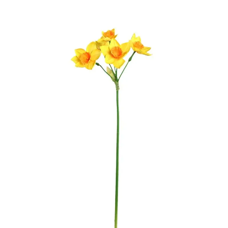 Gartenblume – Gelbe Narzisse Spray, Polyestergewebe | PTMD