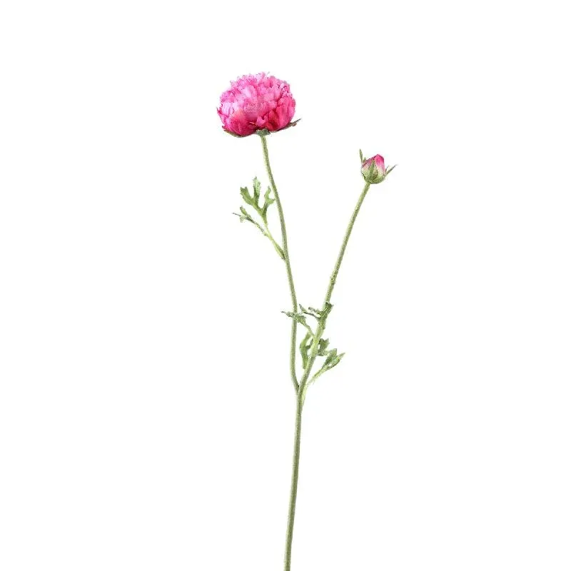 Ranunkelblume – Dunkelrosafarbener Ranunkelzweig mit Knospe und Blättern aus Polyestergewebe | PTMD