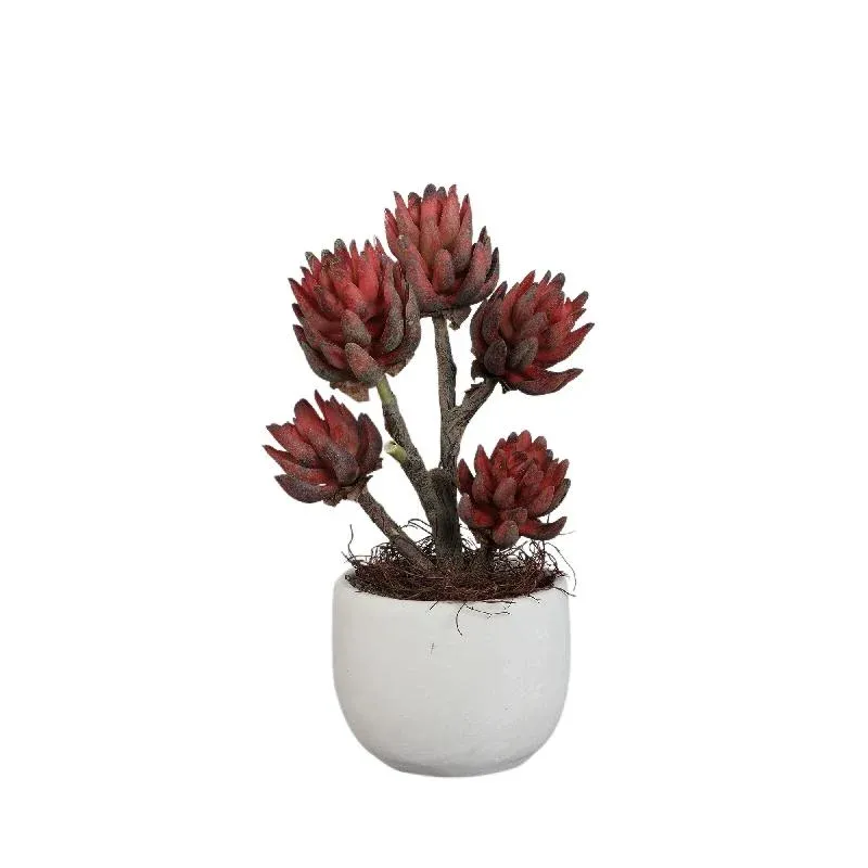 Kunstpflanze - Bronze Echeveria, Zementtopf, Kunststoff,L | PTMD