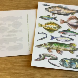 Postkarte Ostseefische (Schnurverlag) RC
