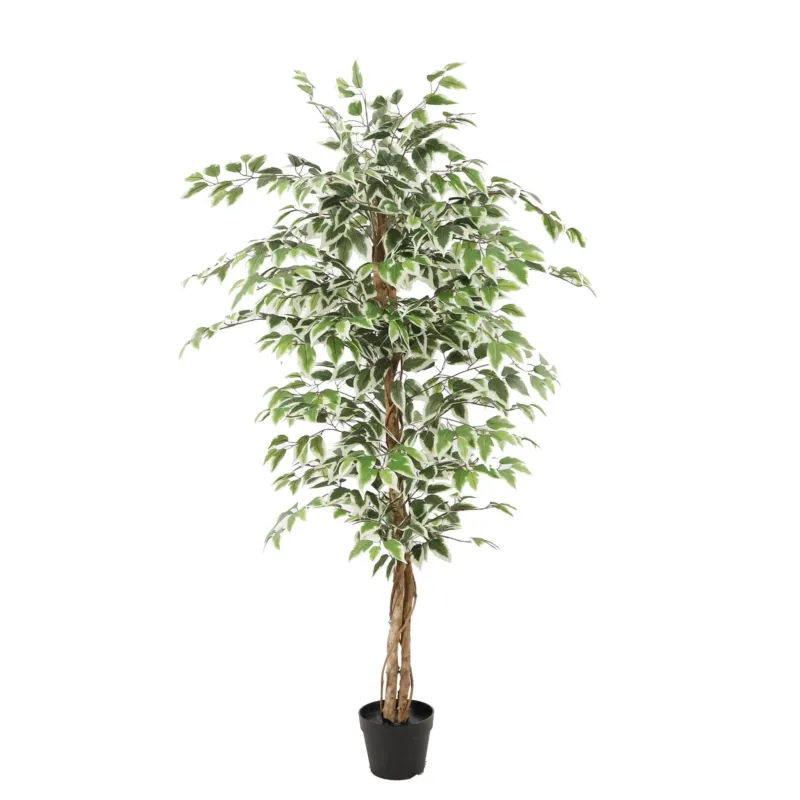Kunstpflanze – Kunststoffmaterial, Natürliches Design, Realistische Blätter, 160 cm - Ficus | NeverLeafs