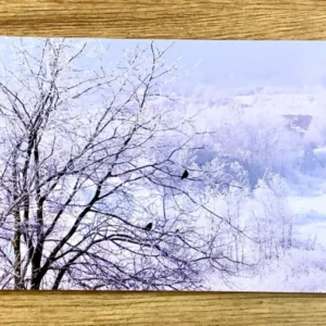Postkarte Winterlandschaft II (art+nature)