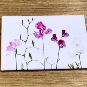 Magnet Wicken 5x8cm („Zwiebelblüher“)