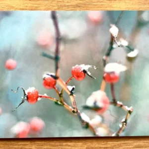 Postkarte Hagebuttentanz (art+nature) B6