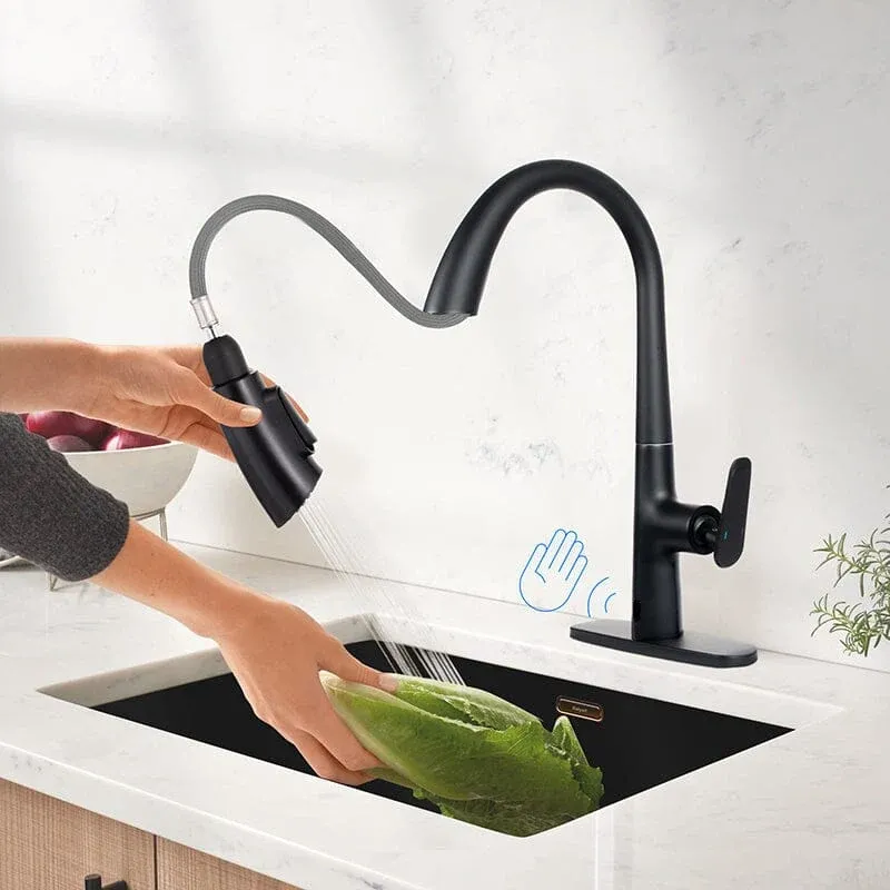 Giving Tree Kitchen Sensor High-Arc Faucet Single Handle with Pull-Down Sprayer
