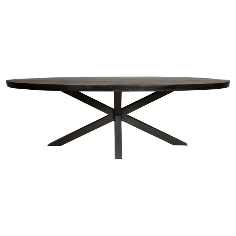 Esszimmertisch – Mangoholz Material, Metallgestell, Oval Design, 300 cm - Denver | Starfurn
