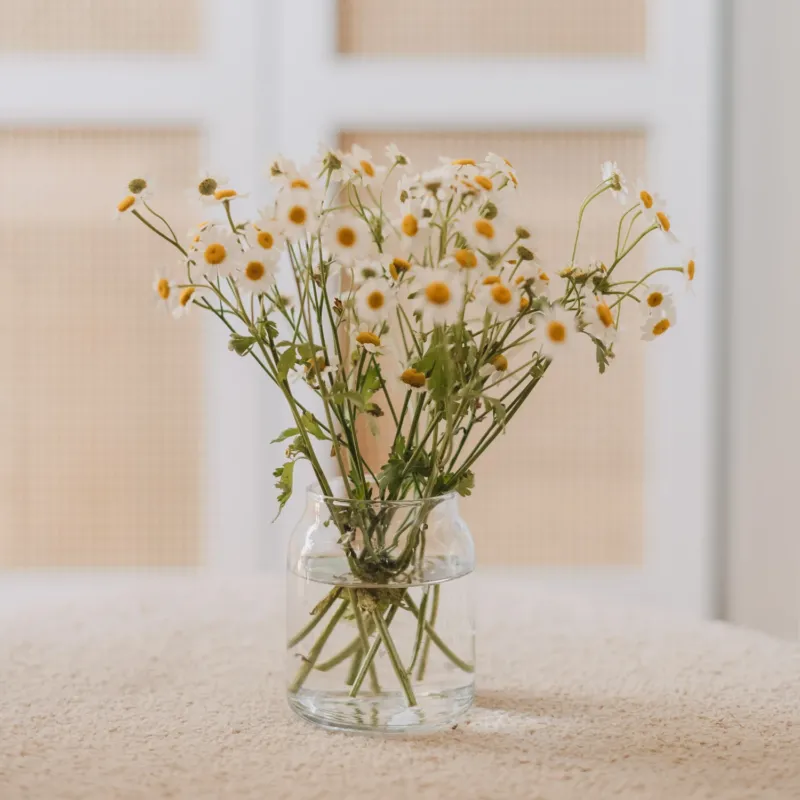 Glasvase mit weißen Herzen und frischen Kamillenblüten auf hellem Tisch
