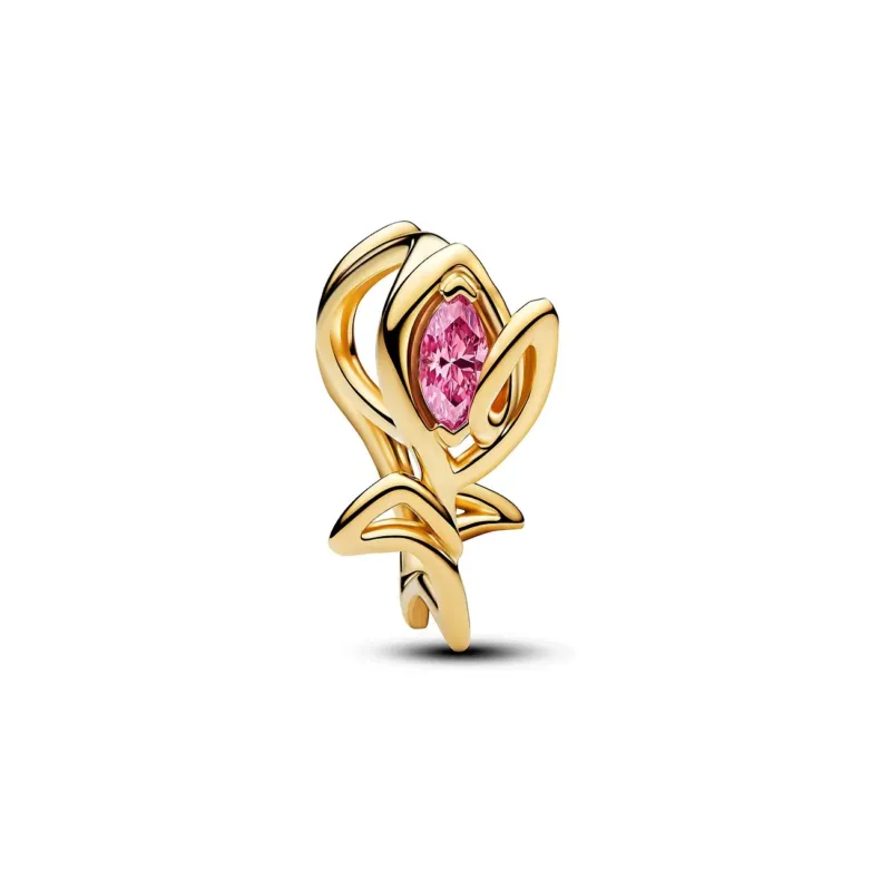 Pandora Charm Moments - 764555C01