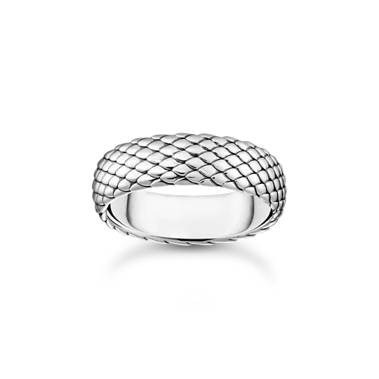 ring-snake-silber-tr2489-637-21